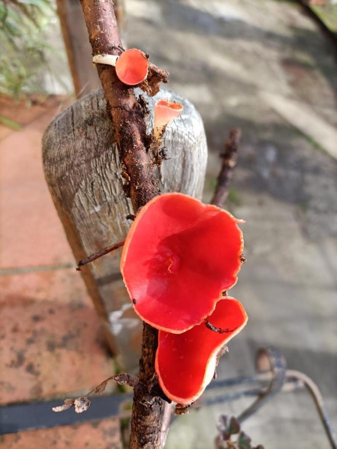 Welcome In Toscana Polcanto Zewnętrze zdjęcie